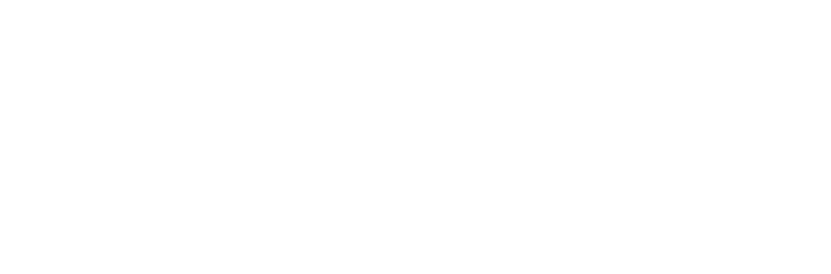 logo Senta Weygandt Stiftung